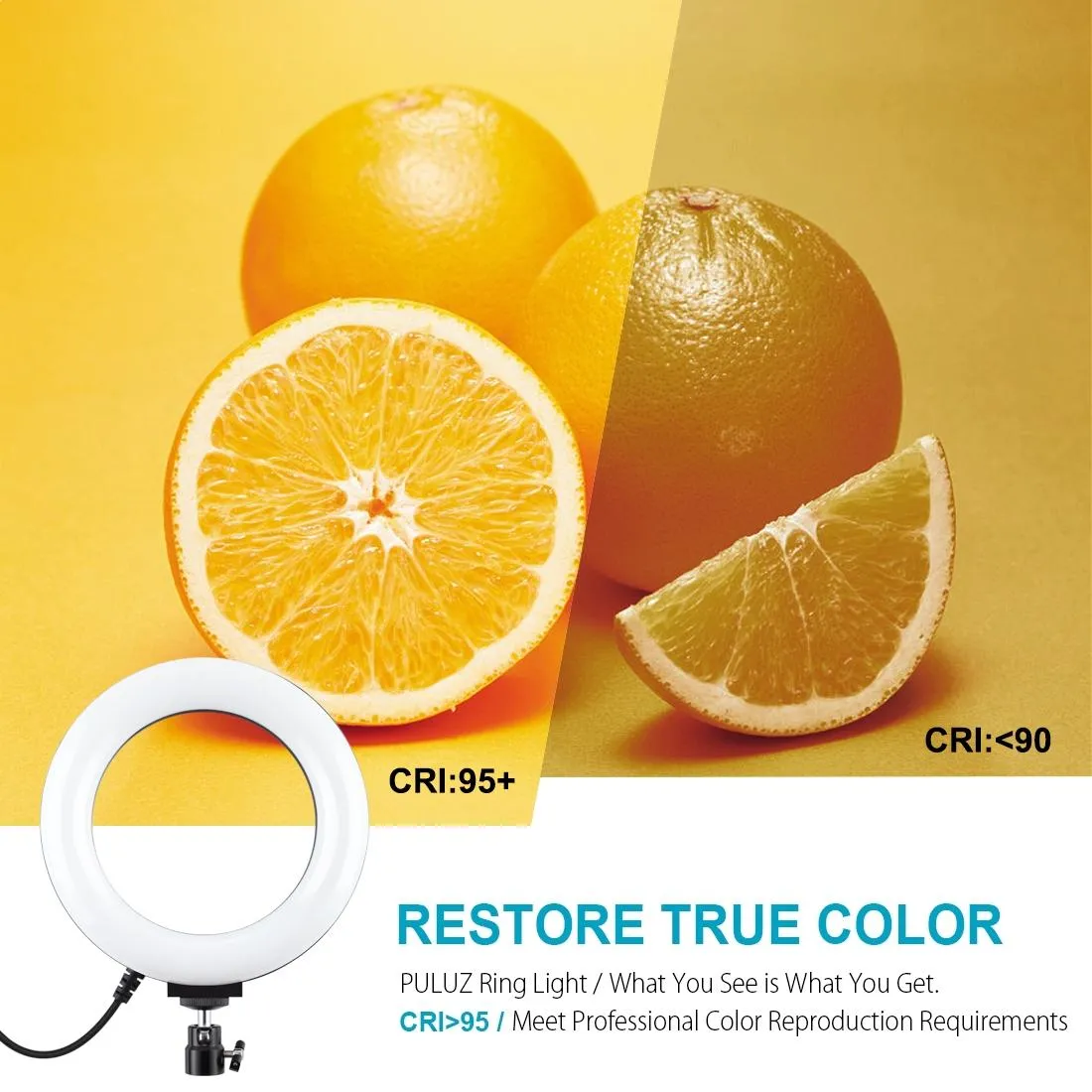 10 Mode Usb Led Ring Light with Tripod and Ball Head - 6.2 Inch Diameter