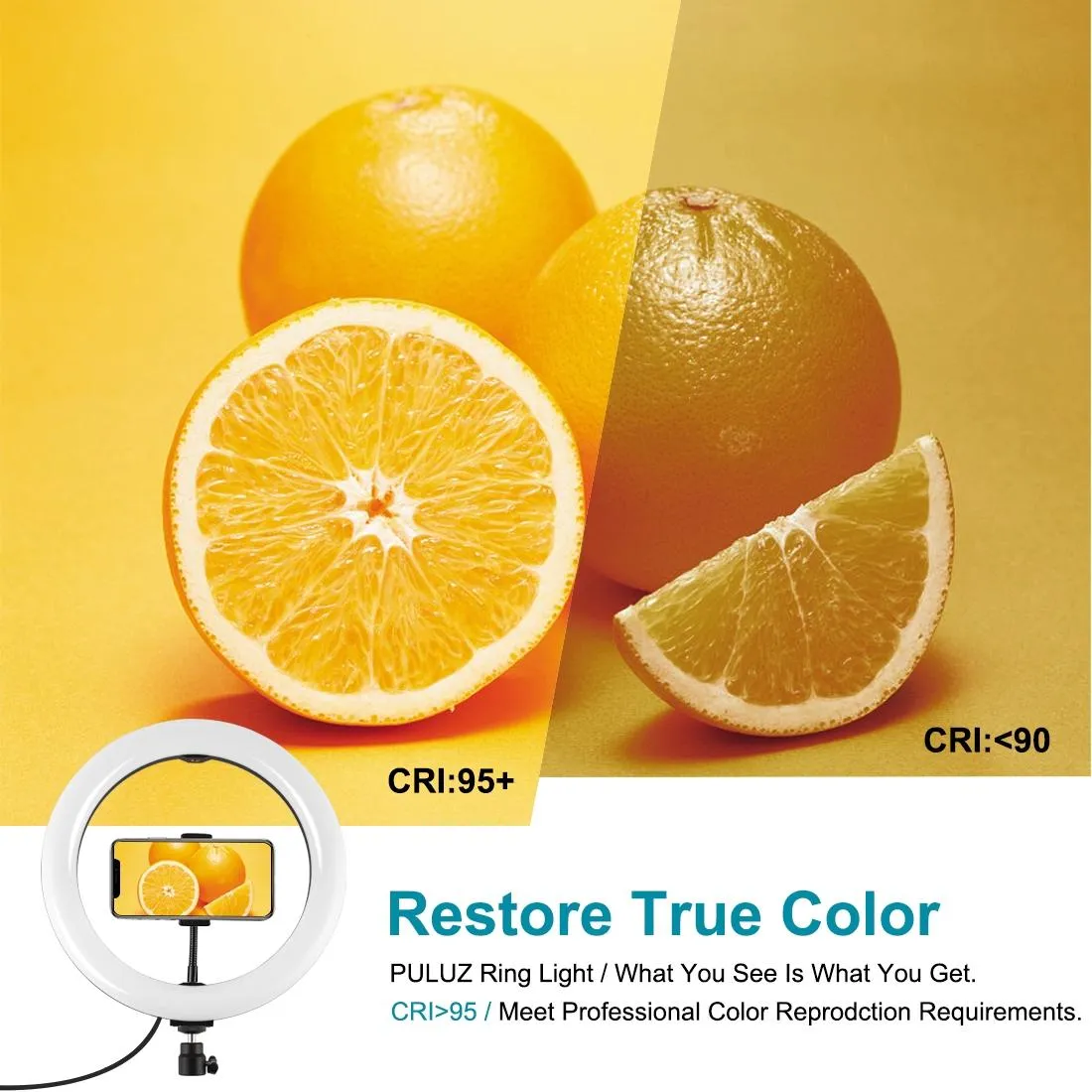 10.2 Curved Led Ring Light with Dual-colour Temperature Remote and Tripod