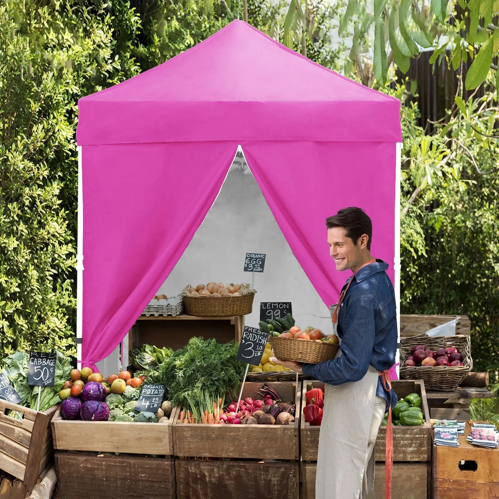 5x5 Instant Canopy with 4-Side Wall Panels