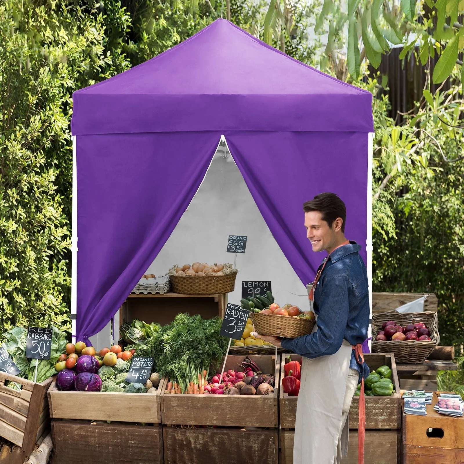 5x5 Instant Canopy with 4-Side Wall Panels