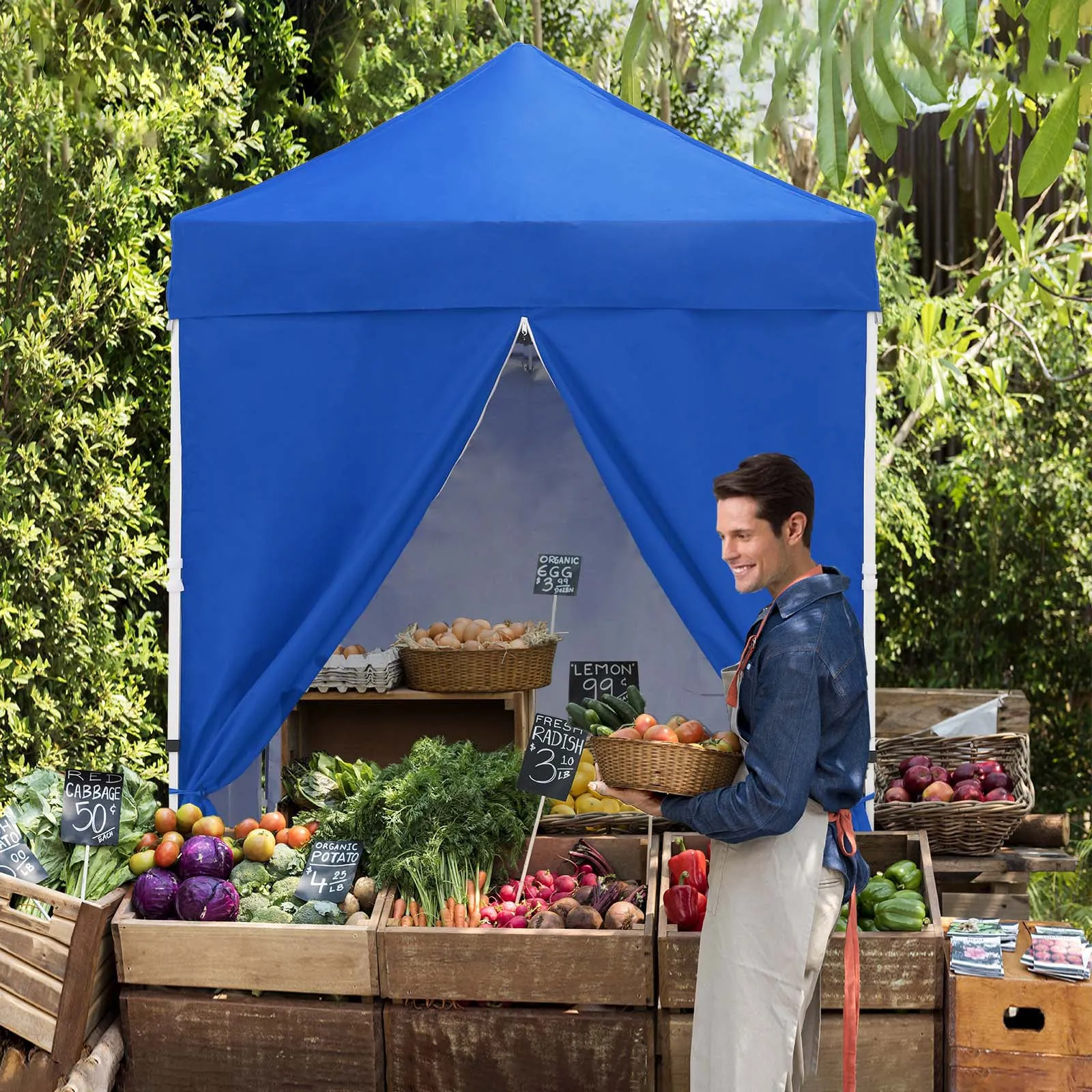 5x5 Instant Canopy with 4-Side Wall Panels