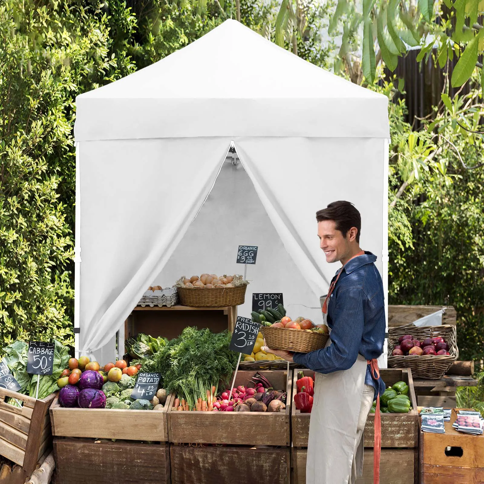 5x5 Instant Canopy with 4-Side Wall Panels