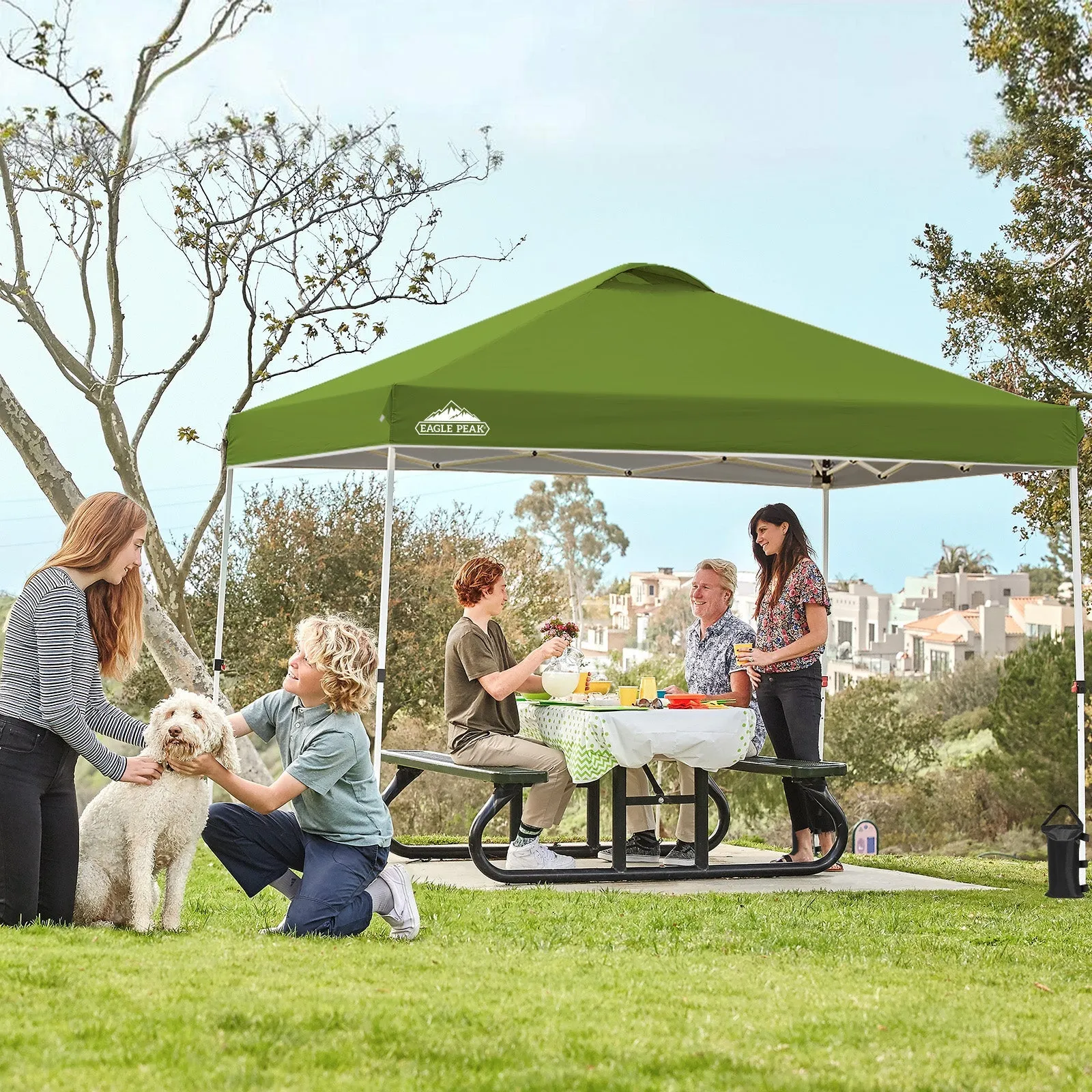 Easy Setup Straight Leg 10x10 Pop Up Canopy Tent w/ 100 sqft of Shade